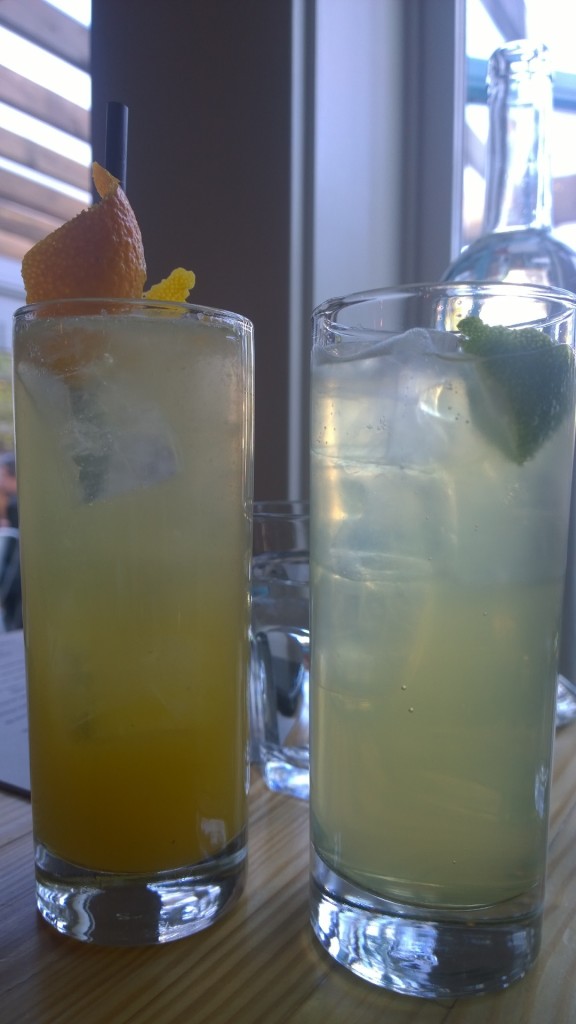 manolin - spiced orange soda, celery soda