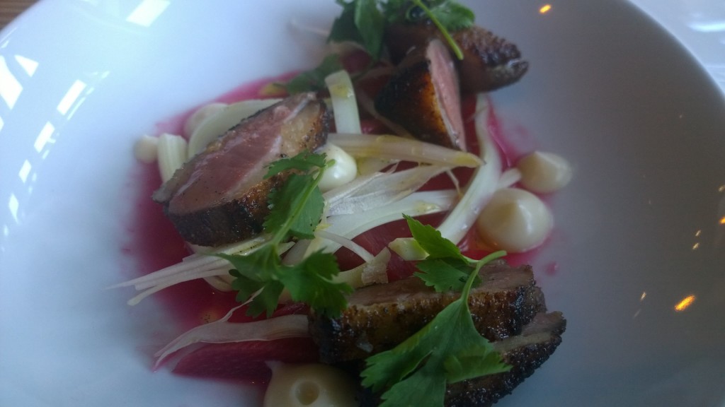 manolin - duck with rhubarb