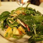 salad - apple salad